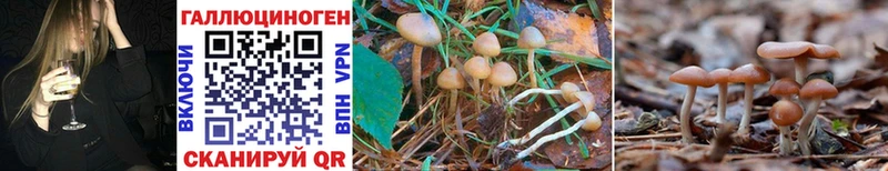 Галлюциногенные грибы Cubensis  маркетплейс наркотические препараты  Юрюзань 